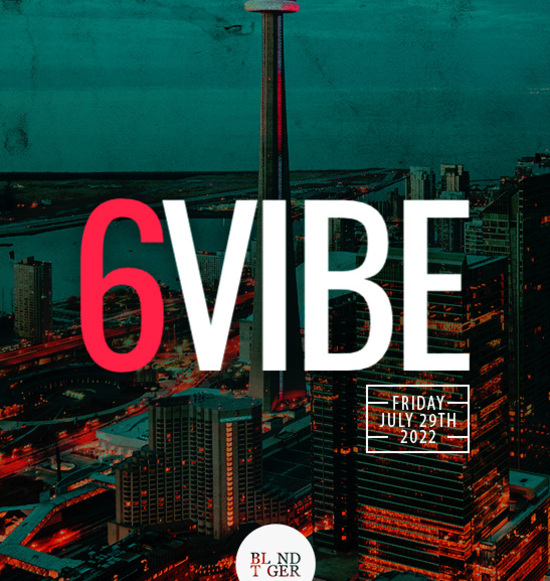 6 VIBE