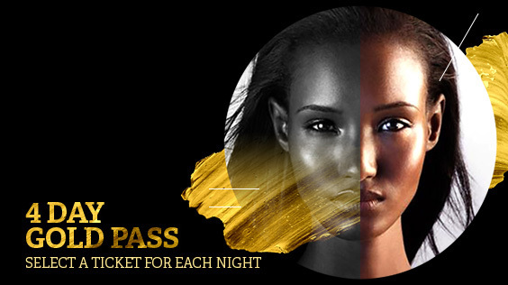 4 Day Gold Pass